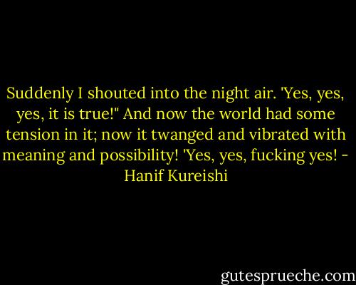 Suddenly I shouted into the night air. 'Yes, yes, yes, it is true!"<br />And now the world had some tension in it; now it twanged and vibrated with meaning and possibility! 'Yes, yes, fucking yes! - Hanif Kureishi
