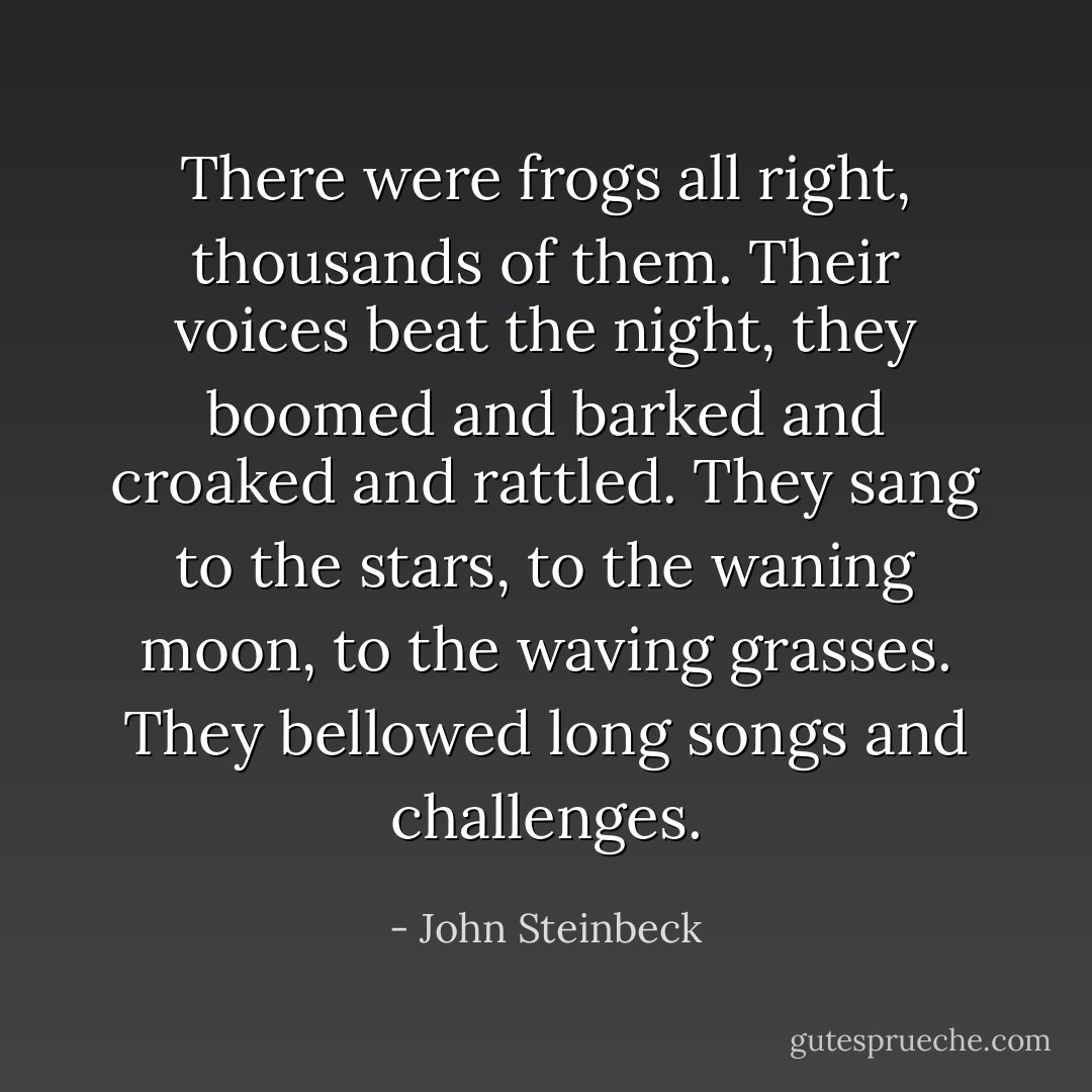 There were frogs all right, thousands of them. Their voices beat the night, they boomed and barked and croaked and rattled. They sang to the stars, to the waning moon, to the waving grasses. They bellowed long songs and challenges. - John Steinbeck