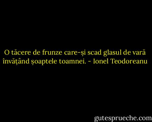 O tăcere de frunze care-și scad glasul de vară învățând șoaptele toamnei. - Ionel Teodoreanu