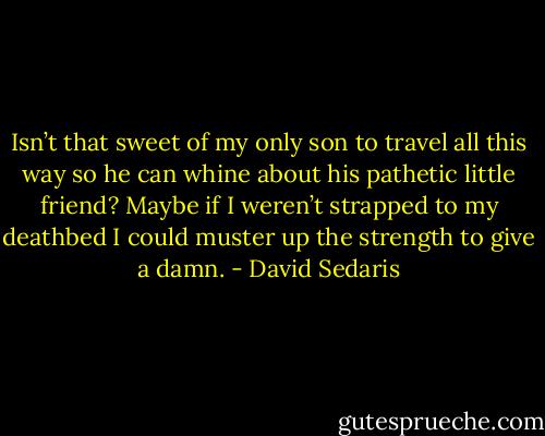 Isn’t that sweet of my only son to travel all this way so he can whine about his pathetic little friend? Maybe if I weren’t strapped to my deathbed I could muster up the strength to give a damn. - David Sedaris