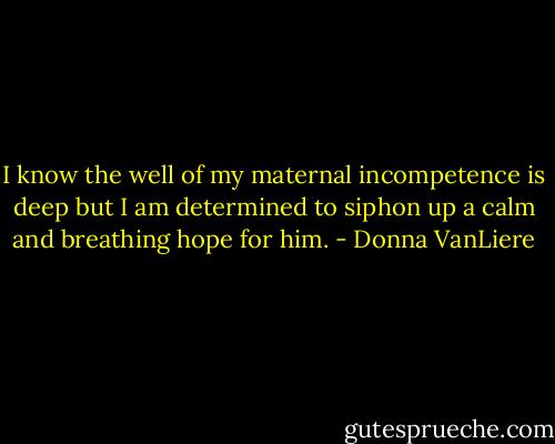 I know the well of my maternal incompetence is deep but I am determined to siphon up a calm and breathing hope for him. - Donna VanLiere