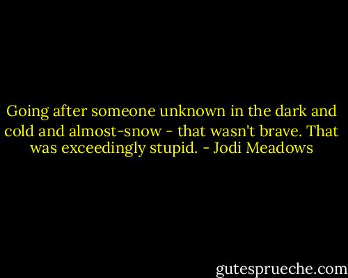 Going after someone unknown in the dark and cold and almost-snow - that wasn't brave. That was exceedingly stupid. - Jodi Meadows