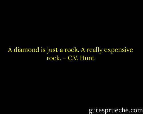 A diamond is just a rock. A really expensive rock. - C.V. Hunt
