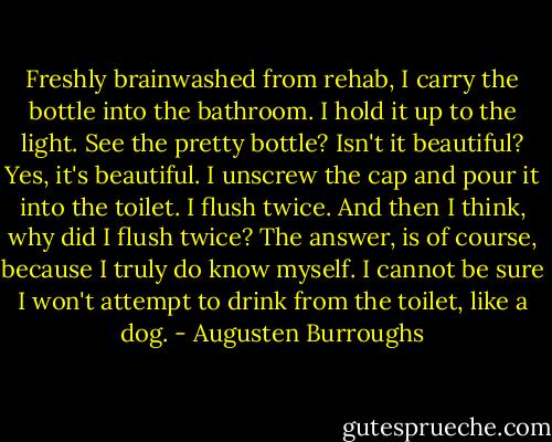 Freshly brainwashed from rehab, I carry the bottle into the bathroom. I hold it up to the light. See the pretty bottle? Isn't it beautiful? Yes, it's beautiful. I unscrew the cap and pour it into the toilet. I flush twice. And then I think, why did I flush twice? The answer, is of course, because I truly do know myself. I cannot be sure I won't attempt to drink from the toilet, like a dog. - Augusten Burroughs