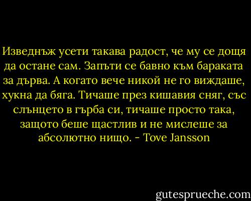 Изведнъж усети такава радост, че му се дощя да остане сам. Запъти се бавно към бараката за дърва.<br />А когато вече никой не го виждаше, хукна да бяга. Тичаше през кишавия сняг, със слънцето в гърба си, тичаше просто така, защото беше щастлив и не мислеше за абсолютно нищо. - Tove Jansson