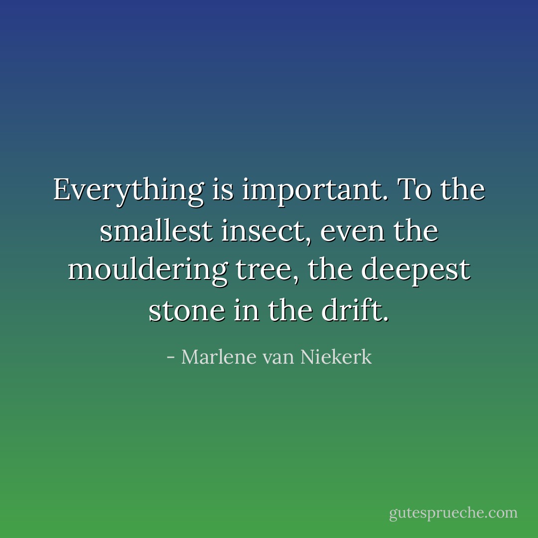 Everything is important. To the smallest insect, even the mouldering tree, the deepest stone in the drift. - Marlene van Niekerk