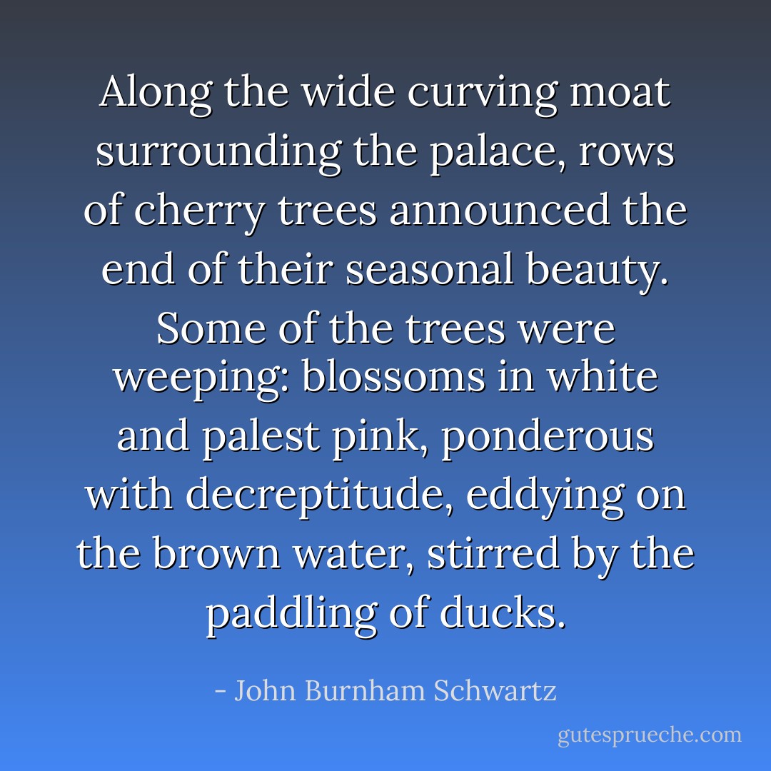 Along the wide curving moat surrounding the palace, rows of cherry trees announced the end of their seasonal beauty. Some of the trees were weeping: blossoms in white and palest pink, ponderous with decreptitude, eddying on the brown water, stirred by the paddling of ducks. - John Burnham Schwartz