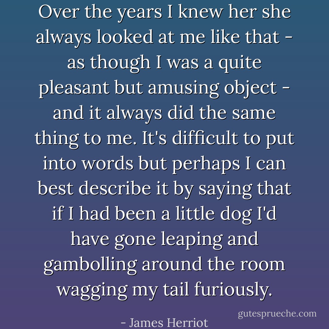 Over the years I knew her she always looked at me like that - as though I was a quite pleasant but amusing object - and it always did the same thing to me. It's difficult to put into words but perhaps I can best describe it by saying that if I had been a little dog I'd have gone leaping and gambolling around the room wagging my tail furiously. - James Herriot