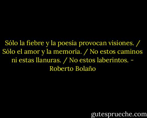 Sólo la fiebre y la poesía provocan visiones. / Sólo el amor y la memoria. / No estos caminos ni estas llanuras. / No estos laberintos. - Roberto Bolaño