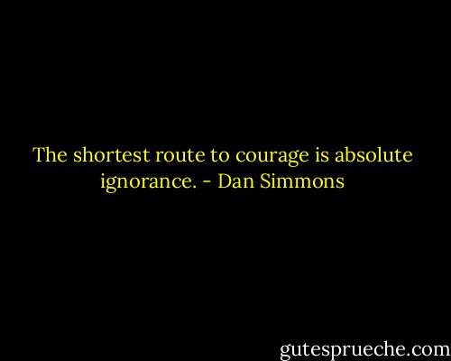 The shortest route to courage is absolute ignorance. - Dan Simmons