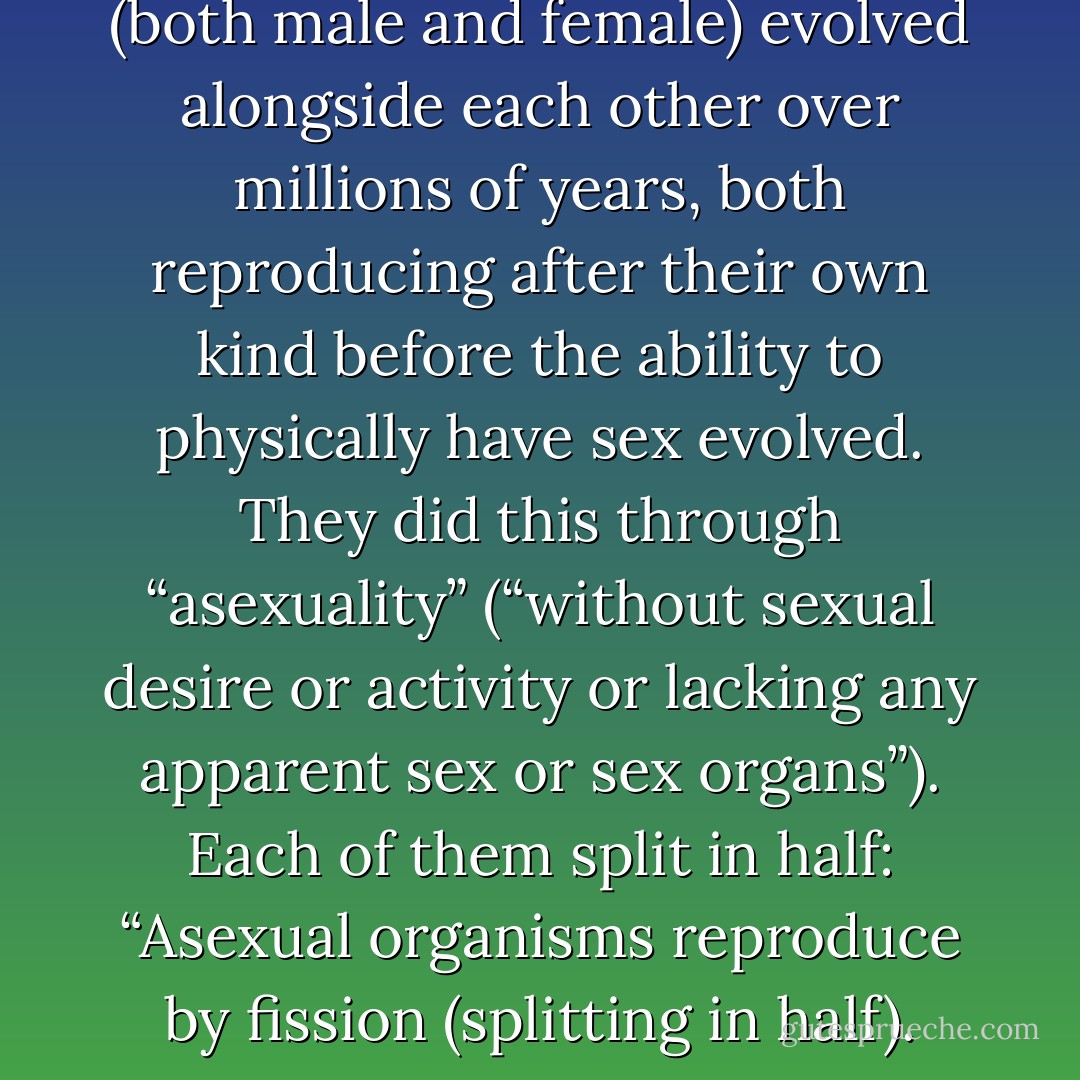 Darwin theorized that mankind (both male and female) evolved alongside each other over millions of years, both reproducing after their own kind before the ability to physically have sex evolved. They did this through “asexuality” (“without sexual desire or activity or lacking any apparent sex or sex organs”). Each of them split in half: “Asexual organisms reproduce by fission (splitting in half). - Ray Comfort
