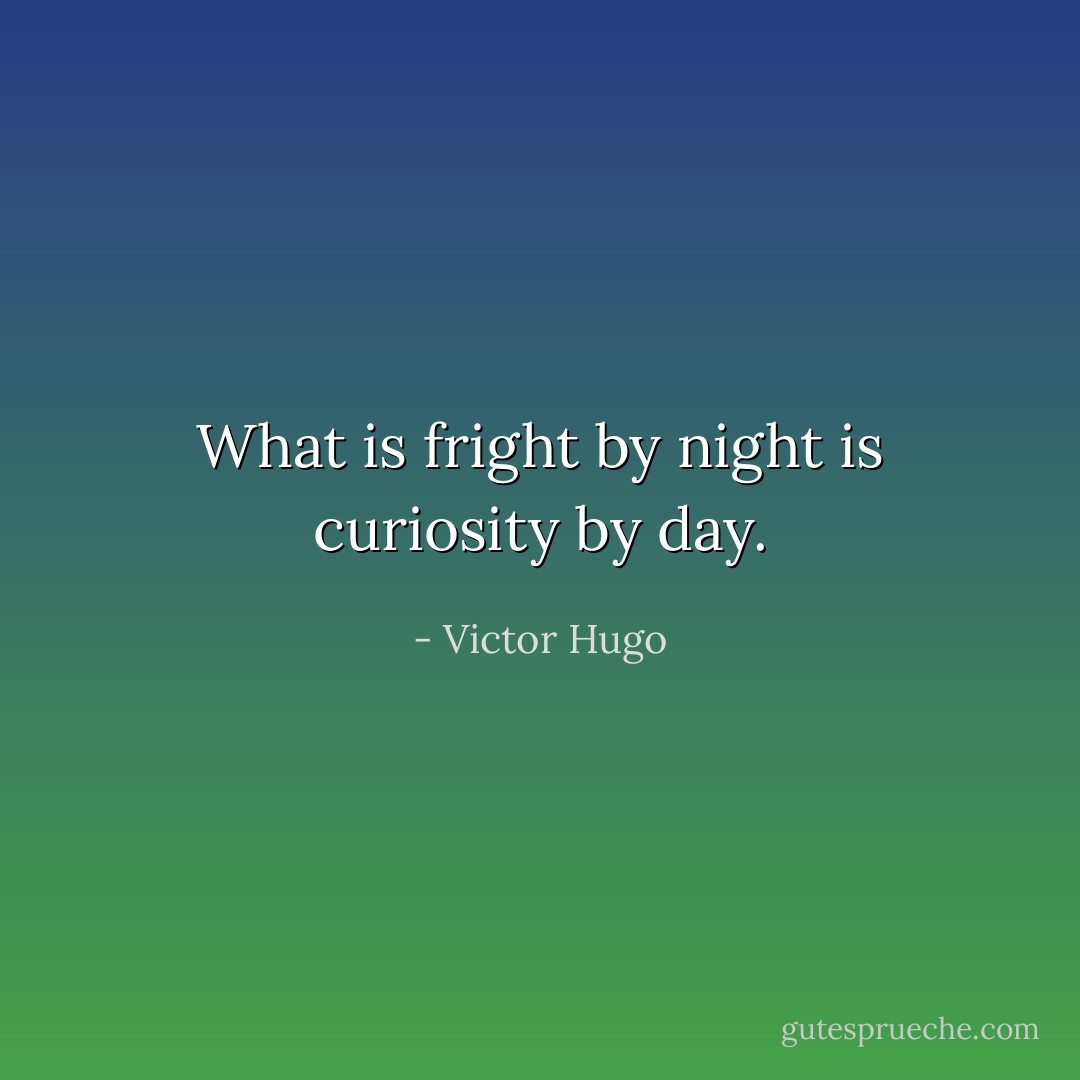 What is fright by night is curiosity by day. - Victor Hugo