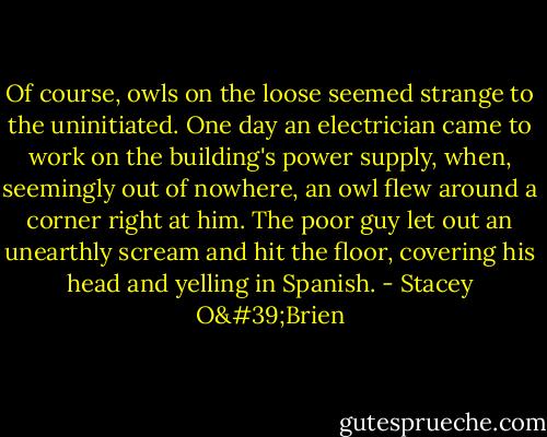 Of course, owls on the loose seemed strange to the uninitiated. One day an electrician came to work on the building's power supply, when, seemingly out of nowhere, an owl flew around a corner right at him. The poor guy let out an unearthly scream and hit the floor, covering his head and yelling in Spanish. - Stacey O'Brien
