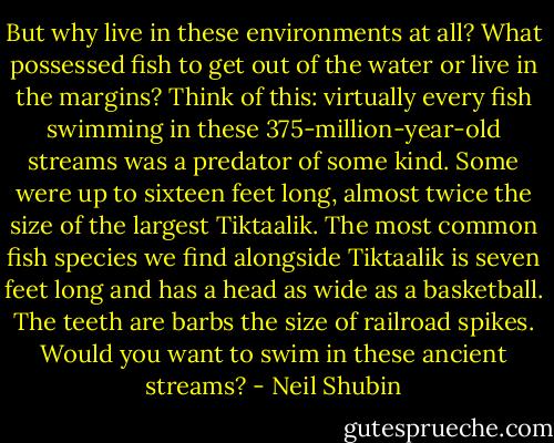 But why live in these environments at all? What possessed fish to get out of the water or live in the margins? Think of this: virtually every fish swimming in these 375-million-year-old streams was a predator of some kind. Some were up to sixteen feet long, almost twice the size of the largest Tiktaalik. The most common fish species we find alongside Tiktaalik is seven feet long and has a head as wide as a basketball. The teeth are barbs the size of railroad spikes. Would you want to swim in these ancient streams? - Neil Shubin