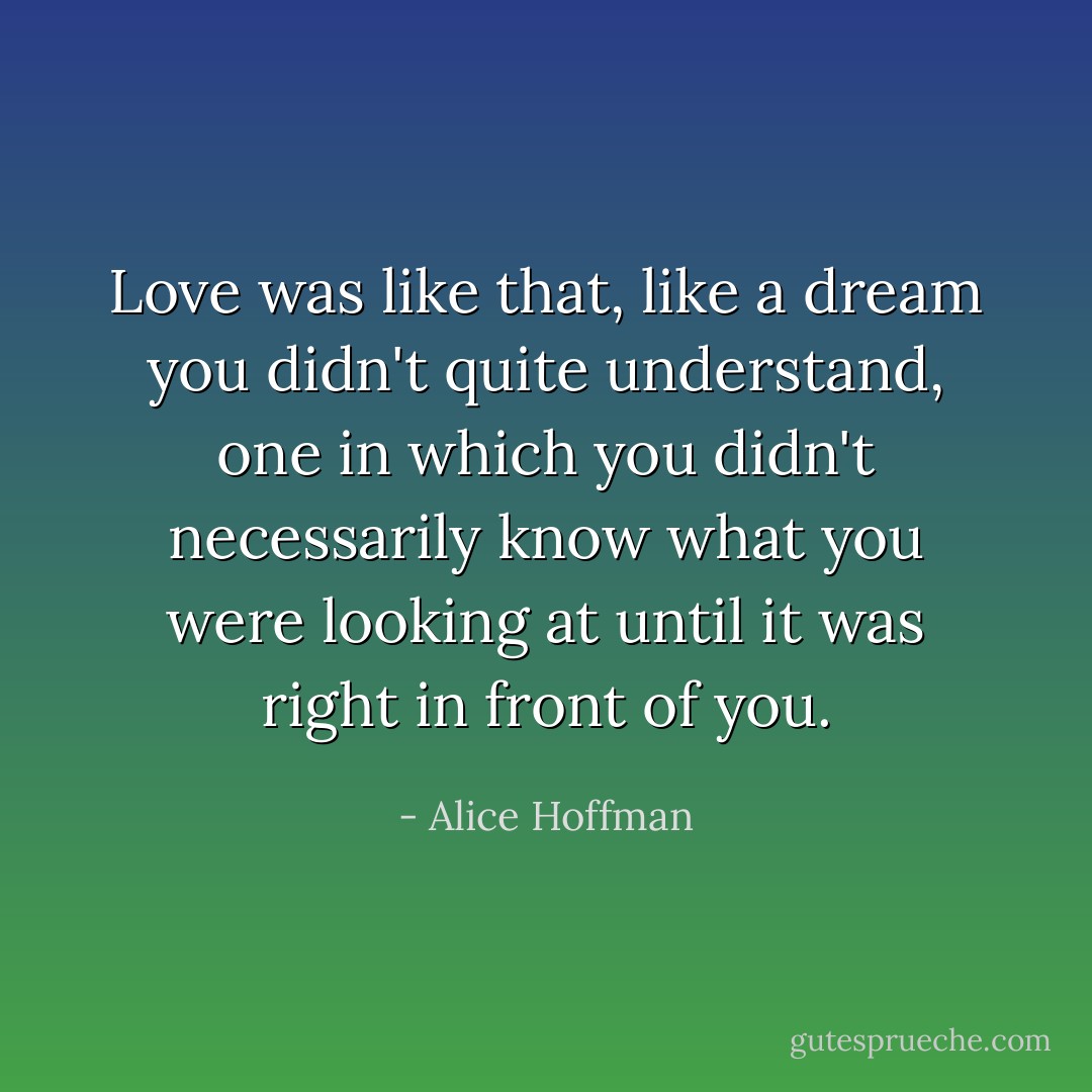 Love was like that, like a dream you didn't quite understand, one in which you didn't necessarily know what you were looking at until it was right in front of you. - Alice Hoffman
