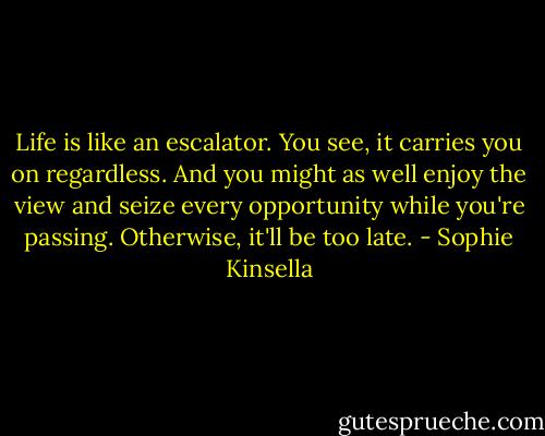 Life is like an escalator. You see, it carries you on regardless. And you might as well enjoy the view and seize every opportunity while you're passing. Otherwise, it'll be too late. - Sophie Kinsella