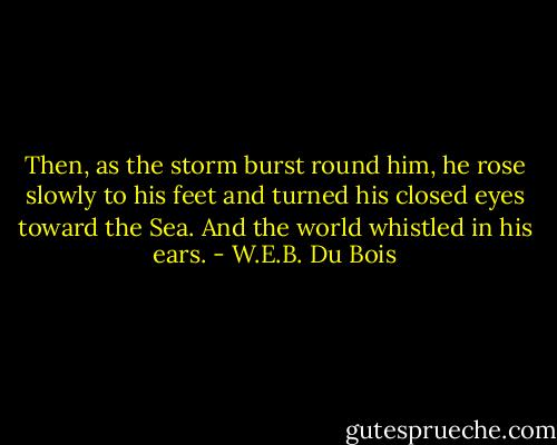 Then, as the storm burst round him, he<br />rose slowly to his feet and turned his closed eyes toward the Sea.<br />And the world whistled in his ears. - W.E.B. Du Bois