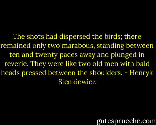 The shots had dispersed the birds; there remained only two marabous, standing between ten and twenty paces away and plunged in reverie. They were like two old men with bald heads pressed between the shoulders. - Henryk Sienkiewicz