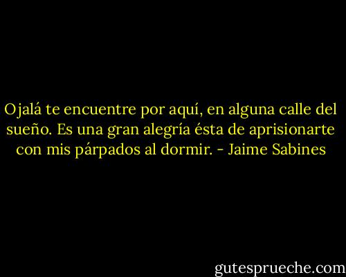 Ojalá te encuentre por aquí, en alguna calle del sueño. Es una gran alegría ésta de aprisionarte con mis párpados al dormir. - Jaime Sabines