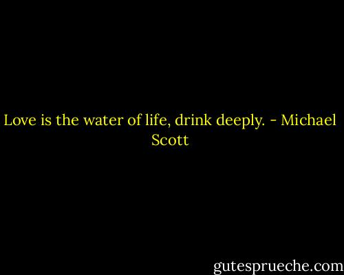 Love is the water of life, drink deeply. - Michael Scott