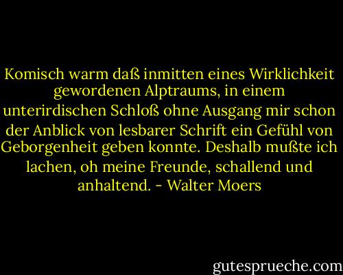 Komisch warm daß inmitten eines Wirklichkeit gewordenen Alptraums, in einem unterirdischen Schloß ohne Ausgang mir schon der Anblick von lesbarer Schrift ein Gefühl von Geborgenheit geben konnte. Deshalb mußte ich lachen, oh meine Freunde, schallend und anhaltend. - Walter Moers