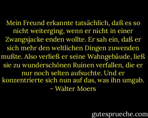 Mein Freund erkannte tatsächlich, daß es so nicht weiterging, wenn er nicht in einer Zwangsjacke enden wollte. Er sah ein, daß er sich mehr den weltlichen Dingen zuwenden mußte. Also verließ er seine Wahngebäude, ließ sie zu wunderschönen Ruinen verfallen, die er nur noch selten aufsuchte. Und er konzentrierte sich nun auf das, was ihn umgab. - Walter Moers