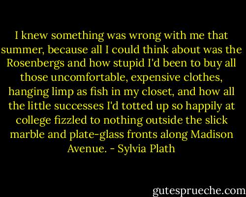 I knew something was wrong with me that summer, because all I could think about was the Rosenbergs and how stupid I'd been to buy all those uncomfortable, expensive clothes, hanging limp as fish in my closet, and how all the little successes I'd totted up so happily at college fizzled to nothing outside the slick marble and plate-glass fronts along Madison Avenue. - Sylvia Plath