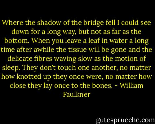 Where the shadow of the bridge fell I could see down for a long way, but not as far as the bottom. When you leave a leaf in water a long time after awhile the tissue will be gone and the delicate fibres waving slow as the motion of sleep. They don't touch one another, no matter how knotted up they once were, no matter how close they lay once to the bones. - William Faulkner
