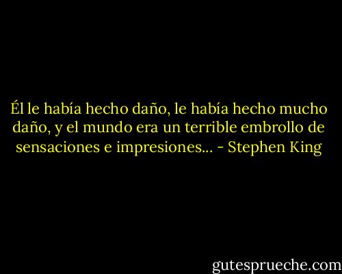 Él le había hecho daño, le había hecho mucho daño, y el mundo era un terrible embrollo de sensaciones e impresiones... - Stephen King