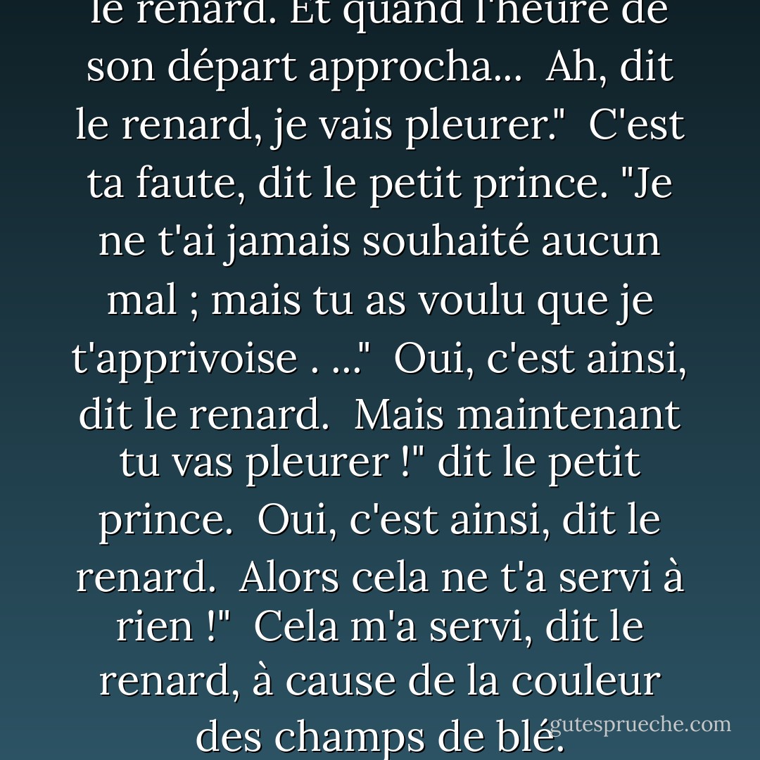 Ainsi le petit prince apprivoisa le renard. Et quand l'heure de son départ approcha...<br /><br />Ah, dit le renard, je vais pleurer."<br /><br />C'est ta faute, dit le petit prince. "Je ne t'ai jamais souhaité aucun mal ; mais tu as voulu que je t'apprivoise . ..."<br /><br />Oui, c'est ainsi, dit le renard.<br /><br />Mais maintenant tu vas pleurer !" dit le petit prince.<br /><br />Oui, c'est ainsi, dit le renard.<br /><br />Alors cela ne t'a servi à rien !"<br /><br />Cela m'a servi, dit le renard, à cause de la couleur des champs de blé. - Antoine de Saint-Exupéry