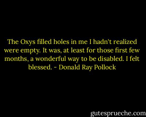 The Oxys filled holes in me I hadn't realized were empty. It was, at least for those first few months, a wonderful way to be disabled. I felt blessed. - Donald Ray Pollock