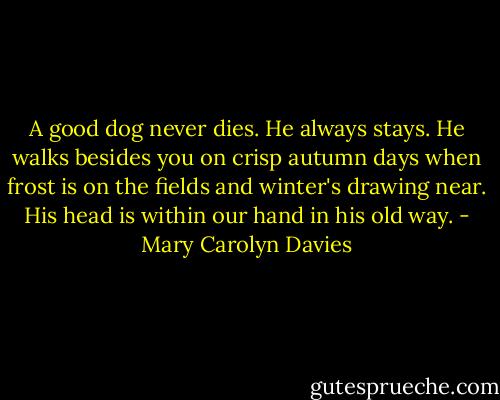 A good dog never dies. He always stays. He walks besides you on crisp autumn days when frost is on the fields and winter's drawing near. His head is within our hand in his old way. - Mary Carolyn Davies