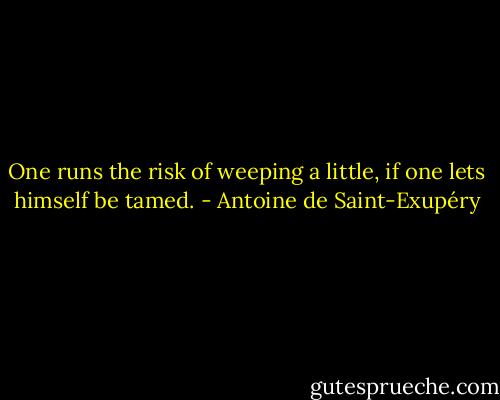One runs the risk of weeping a little, if one lets himself be tamed. - Antoine de Saint-Exupéry