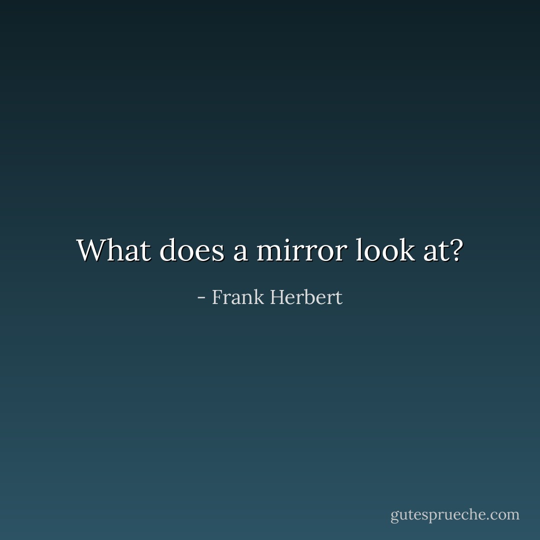 What does a mirror look at? - Frank Herbert