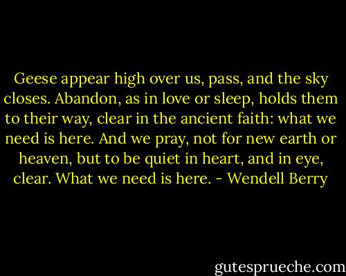 Geese appear high over us,<br />pass, and the sky closes. Abandon,<br />as in love or sleep, holds<br />them to their way, clear<br />in the ancient faith: what we need<br />is here. And we pray, not<br />for new earth or heaven, but to be<br />quiet in heart, and in eye,<br />clear. What we need is here. - Wendell Berry