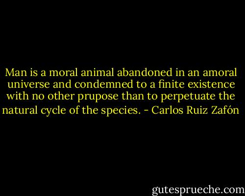 Man is a moral animal abandoned in an amoral universe and condemned to a finite existence with no other prupose than to perpetuate the natural cycle of the species. - Carlos Ruiz Zafón