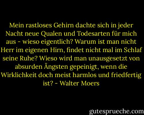Mein rastloses Gehirn dachte sich in jeder Nacht neue Qualen und Todesarten für mich aus - wieso eigentlich? Warum ist man nicht Herr im eigenen Hirn, findet nicht mal im Schlaf seine Ruhe? Wieso wird man unausgesetzt von absurden Ängsten gepeinigt, wenn die Wirklichkeit doch meist harmlos und friedfertig ist? - Walter Moers