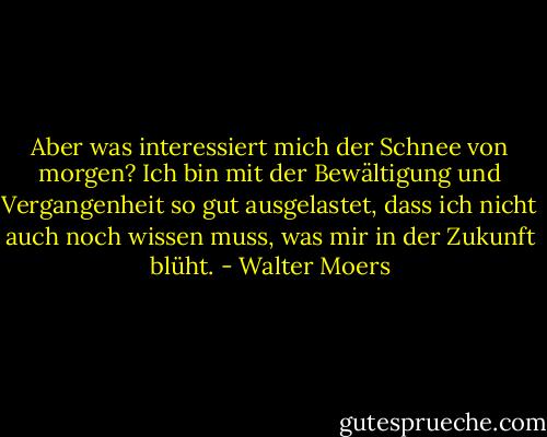 Aber was interessiert mich der Schnee von morgen? Ich bin mit der Bewältigung und Vergangenheit so gut ausgelastet, dass ich nicht auch noch wissen muss, was mir in der Zukunft blüht. - Walter Moers