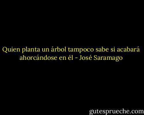 Quien planta un árbol tampoco sabe si acabará ahorcándose en él - José Saramago
