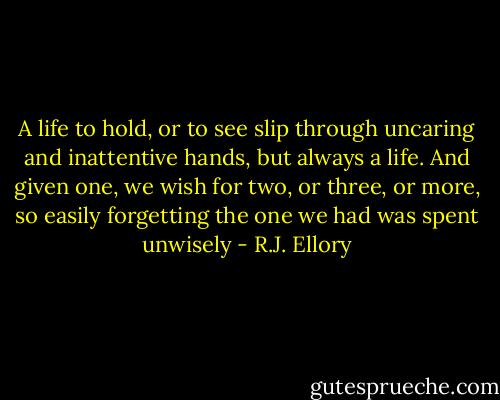 A life to hold, or to see slip through uncaring and inattentive hands, but always a life. And given one, we wish for two, or three, or more, so easily forgetting the one we had was spent unwisely - R.J. Ellory