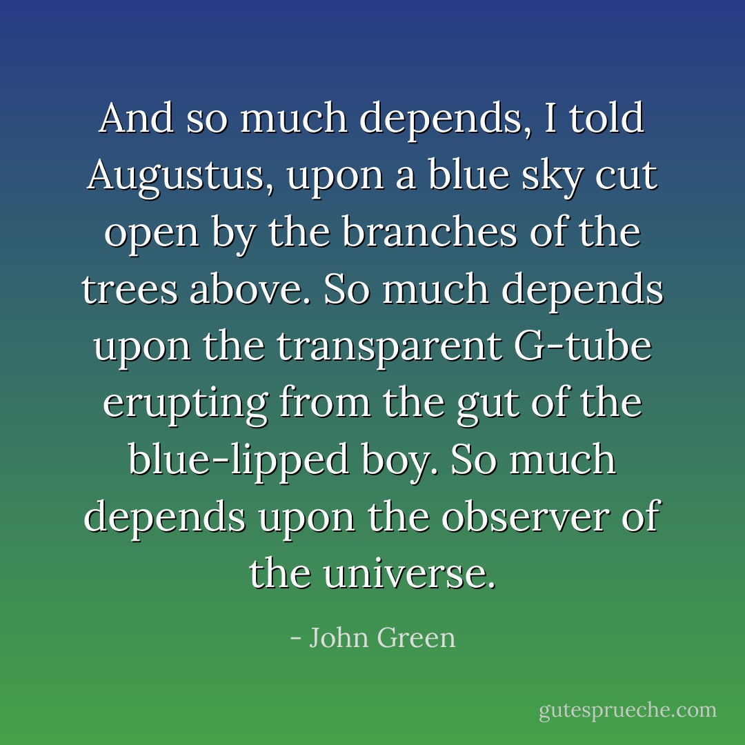 And so much depends, I told Augustus, upon a blue sky cut open by the branches of the trees above. So much depends upon the transparent G-tube erupting from the gut of the blue-lipped boy. So much depends upon the observer of the universe. - John Green