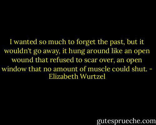 I wanted so much to forget the past, but it wouldn't go away, it hung around like an open wound that refused to scar over, an open window that no amount of muscle could shut. - Elizabeth Wurtzel