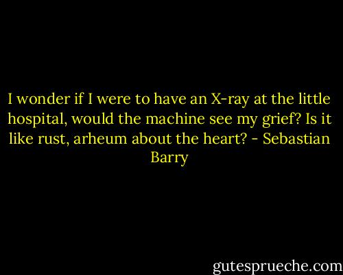 I wonder if I were to have an X-ray at the little hospital, would the machine see my grief? Is it like rust, arheum about the heart? - Sebastian Barry