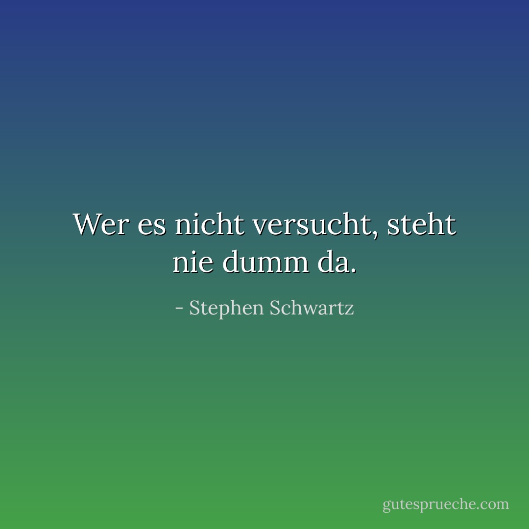 Wer es nicht versucht, steht nie dumm da. - Stephen Schwartz<