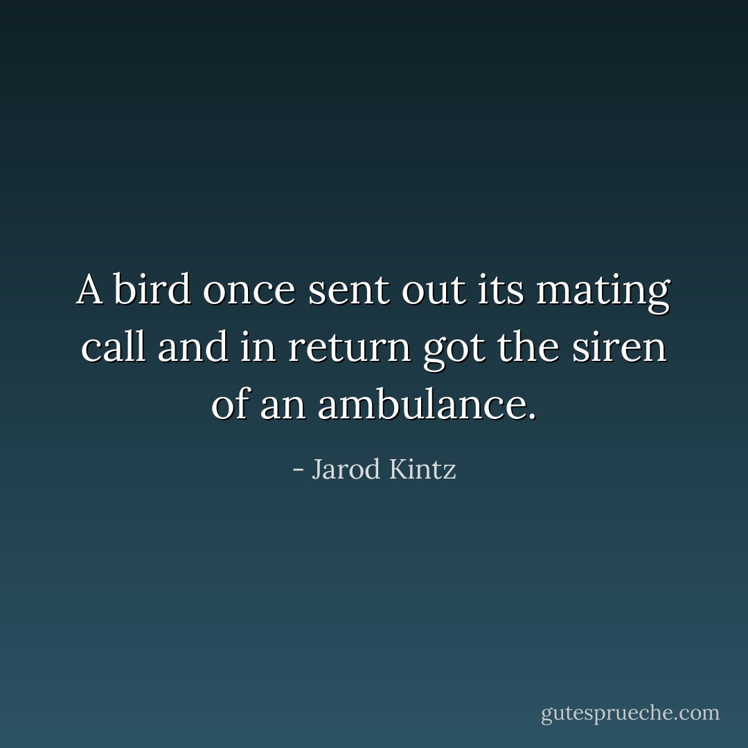 A bird once sent out its mating call and in return got the siren of an ambulance. - Jarod Kintz