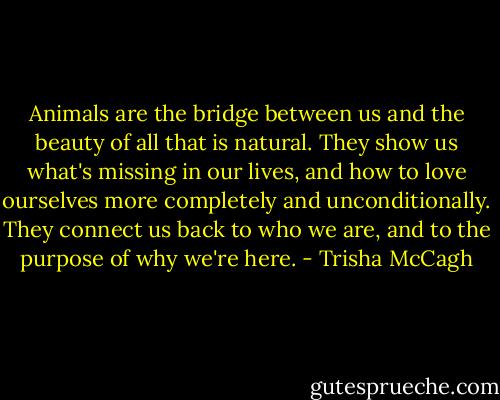 Animals are the bridge between us and the beauty of all that is natural. They show us what's missing in our lives, and how to love ourselves more completely and unconditionally. They connect us back to who we are, and to the purpose of why we're here. - Trisha McCagh