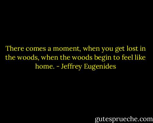 There comes a moment, when you get lost in the woods, when the woods begin to feel like home. - Jeffrey Eugenides