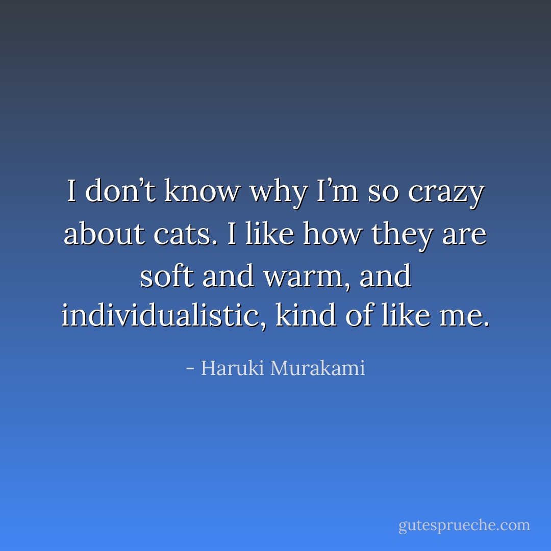 I don’t know why I’m so crazy about cats. I like how they are soft and warm, and individualistic, kind of like me. - Haruki Murakami