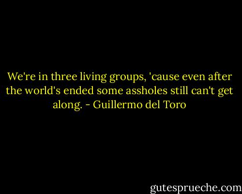 We're in three living groups, 'cause even after the world's ended some assholes still can't get along. - Guillermo del Toro