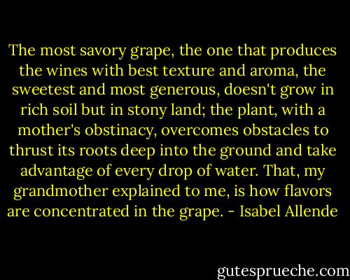 The most savory grape, the one that produces the wines with best texture and aroma, the sweetest and most generous, doesn't grow in rich soil but in stony land; the plant, with a mother's obstinacy, overcomes obstacles to thrust its roots deep into the ground and take advantage of every drop of water. That, my grandmother explained to me, is how flavors are concentrated in the grape. - Isabel Allende